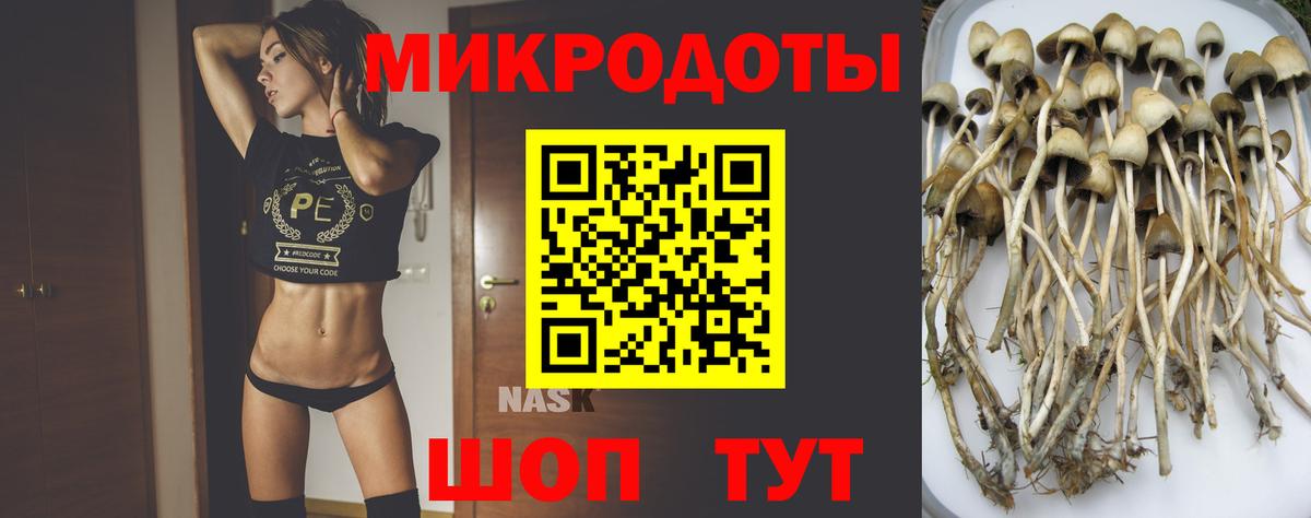 Псилоцибиновые грибы прущие грибы Касимов